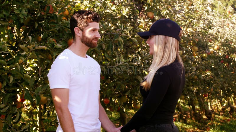 Couples s'agissant l'un sur l'autre dans le champ de pommiers clips vidéos