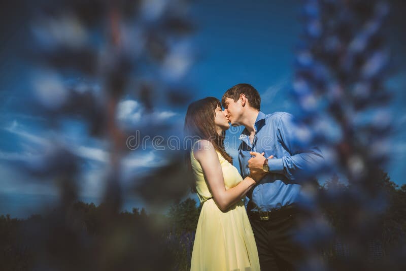 Couplez dans le domaine de fleurs de loup images libres de droits Couplez dans le domaine de fleurs de loup images libres de droits
