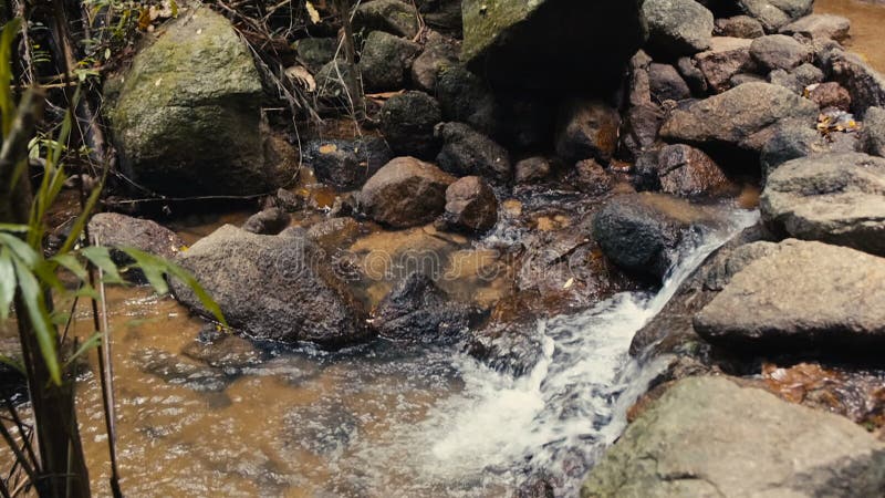 Courant de montagne avec de l'eau l'eau propre banque de vidéos