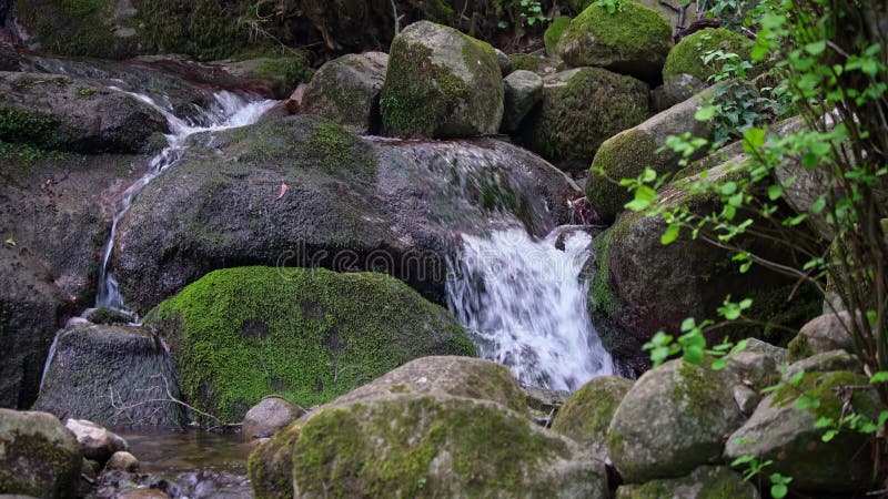 Courant de montagne les flux d'eau propres et clairs dans les montagnes. Écologie et approvisionnement en eau en terre. Monchique banque de vidéos