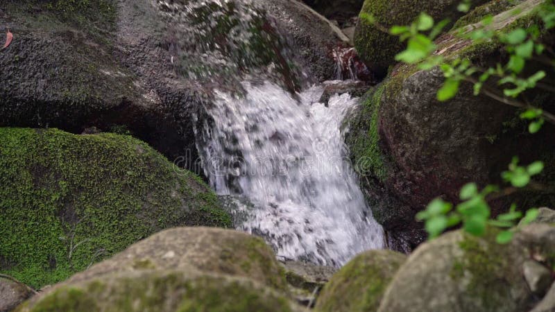 Courant de montagne les flux d'eau propres et clairs dans les montagnes. Écologie et approvisionnement en eau en terre. Ralenti banque de vidéos