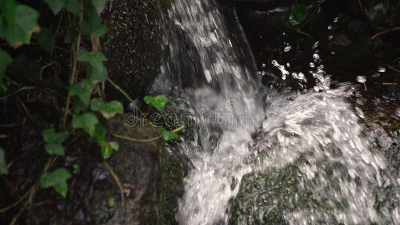 Courant de montagne les flux d'eau propres et clairs en montagne. Écologie et approvisionnement en eau en terre. Ralenti banque de vidéos