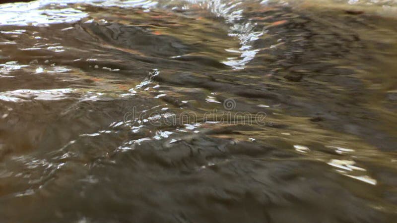 Courant réutilisé des eaux usées Eau propre après le nettoyage industriel banque de vidéos.