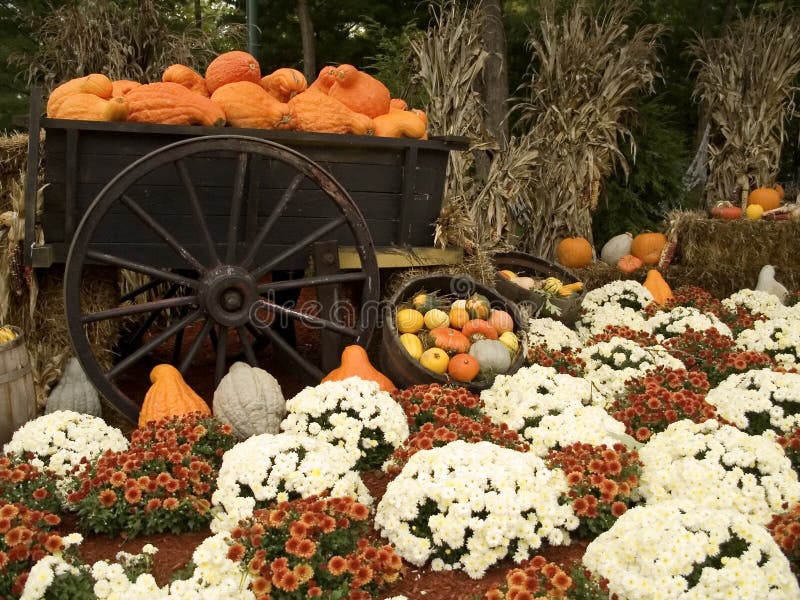 Courges et momies images stock Courges et momies images stock