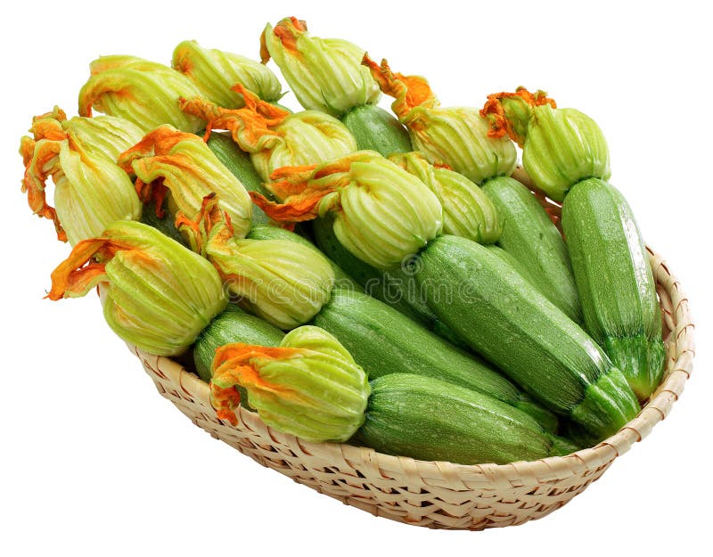 Courgette with flowers stock photo. Image of lush, dieting 8209916