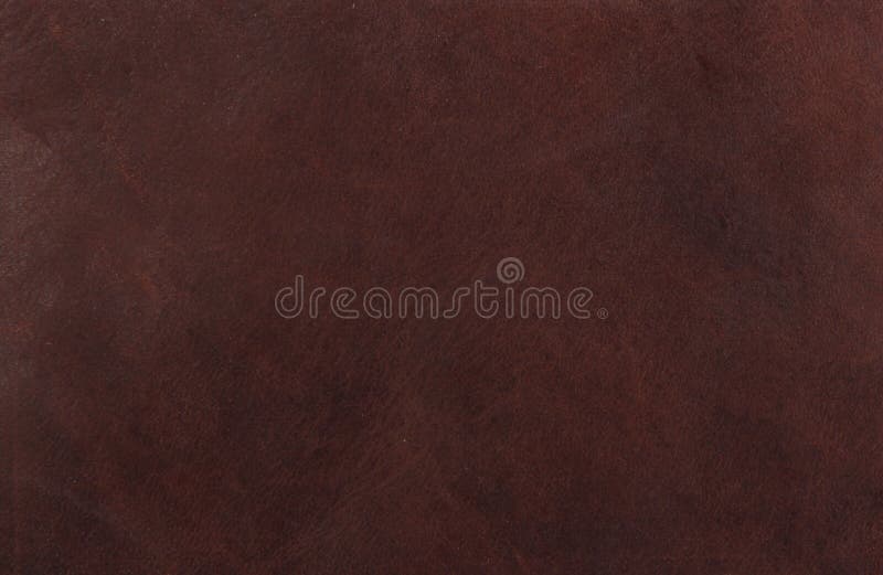 Couro castanho fotografia de stock royalty free