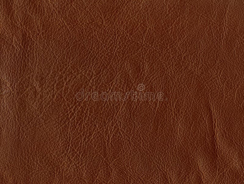 Couro castanho escuro com estrutura de pele claramente visível. foto de stock royalty free