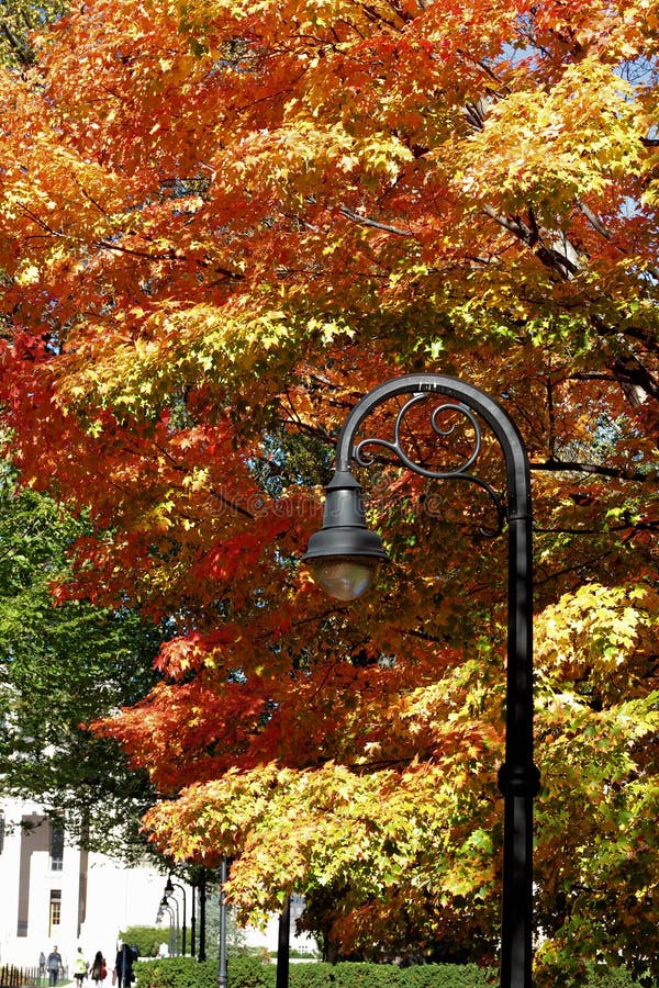 Courrier de lampe dans des couleurs d'automne images libres de droits Courrier de lampe dans des couleurs d'automne images libres de droits