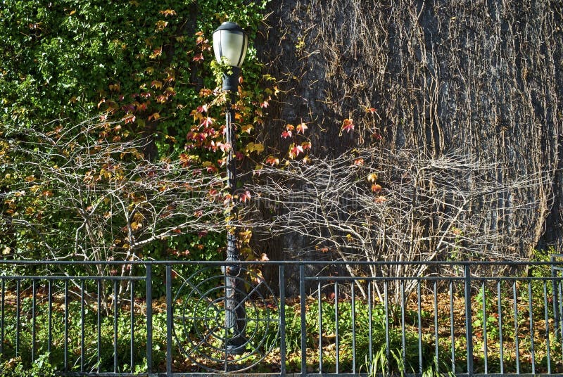 Courrier de lampe de ville de chute images libres de droits Courrier de lampe de ville de chute images libres de droits