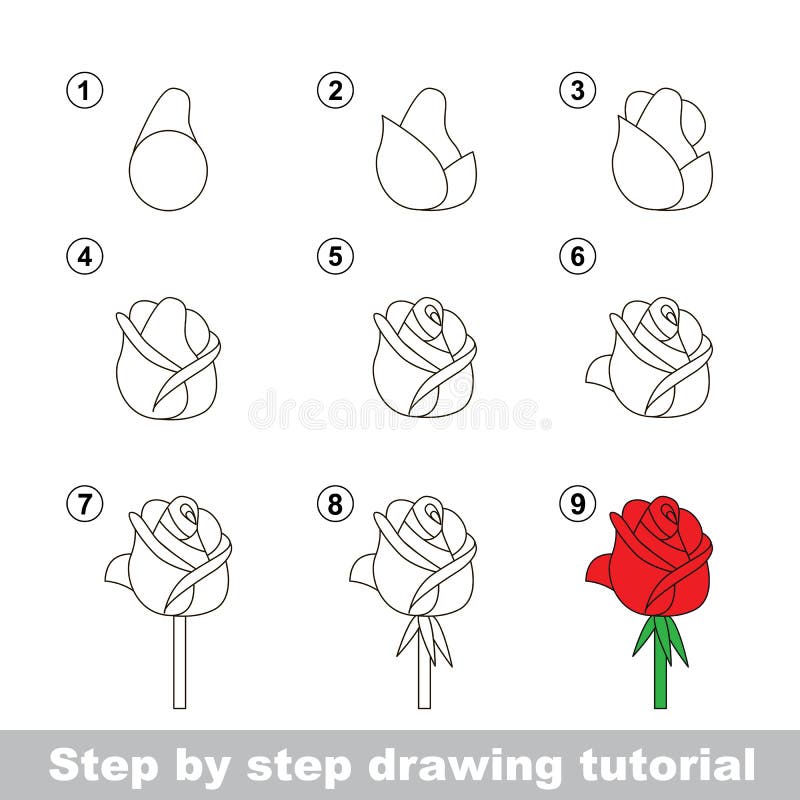 Comment dessiner une rose - 3 dessins de roses étape par étape