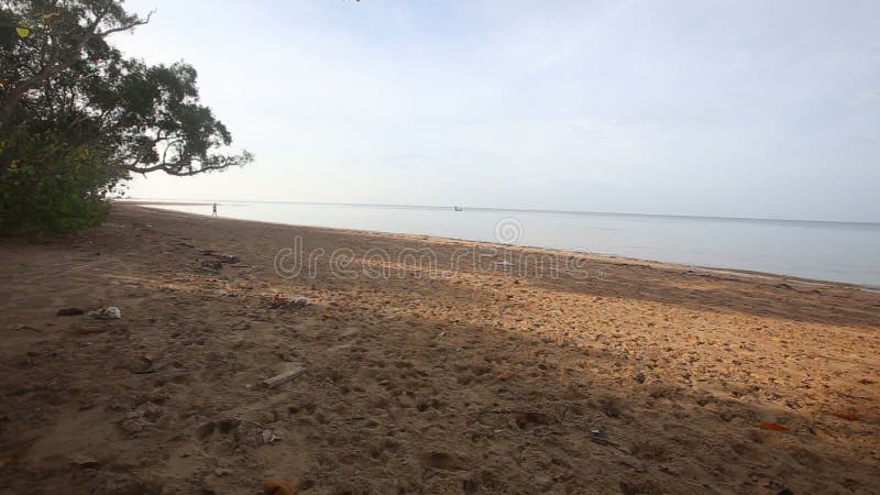 Courses de fille sur la plage de sable à l'aube