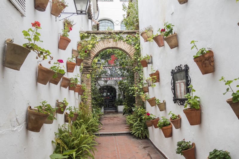 Courtyard decorated with geraniums, Cordoba, Spain stock photo Courtyard decorated with geraniums, Cordoba, Spain stock photo