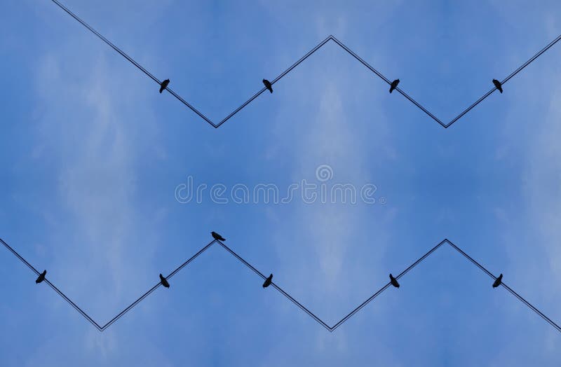 Black birds on a high voltage line stock photos Black birds on a high voltage line stock photos