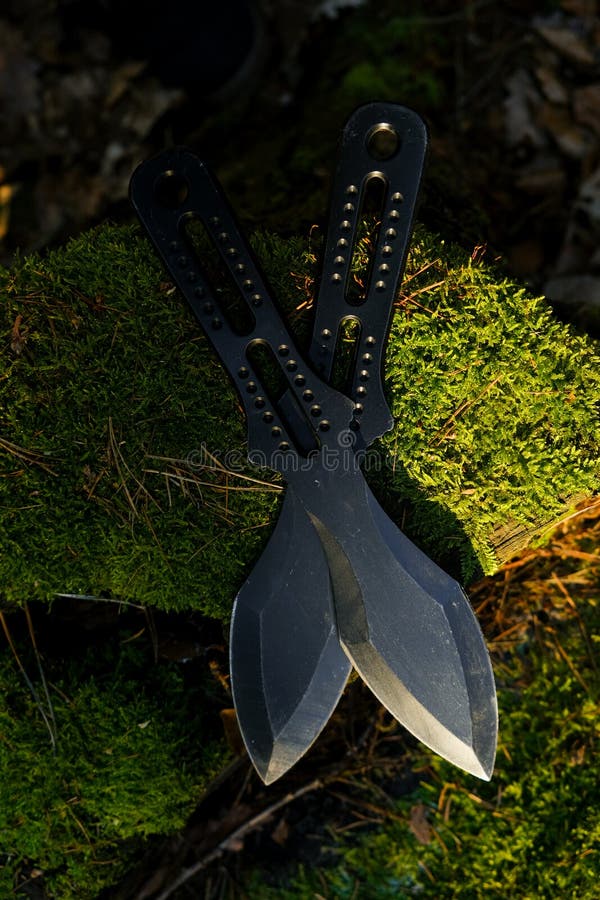 Couteaux à Lancer Noir Sur Un Mossy Stump Dans Une Forêt Ensoleillée Et  Hobby Sports De Plein Air équipement. Photo stock - Image du militaire,  extérieur: 263556844