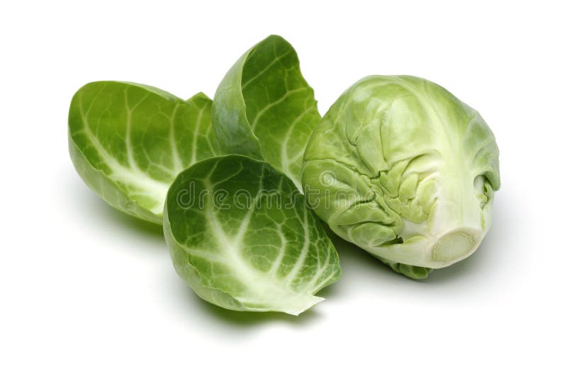 Couve de Bruxelas imagem de stock Couve de Bruxelas imagem de stock