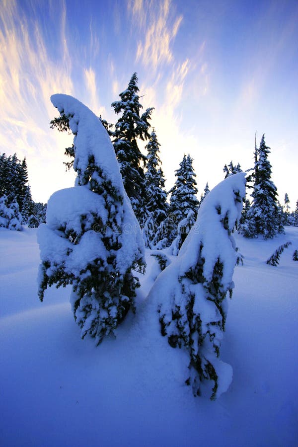 Couverture de neige photographie stock Couverture de neige photographie stock