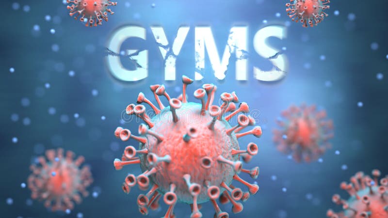 Covid and gyms, pictured as red viruses attacking word gyms to symbolize turmoil, global world problems and the relation between corona virus and gyms, 3d illustration. Covid and gyms, pictured as red viruses attacking word gyms to symbolize turmoil, global world problems and the relation between corona virus and gyms, 3d illustration.