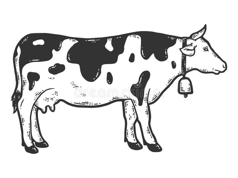 Cow with Bell on Its Neck. Sketch Scratch Board Imitation Color Stock Illustration - Illustration of stand, scratch: 220915932 Cow with Bell on Its Neck. Sketch Scratch Board Imitation Color Stock Illustration - Illustration of stand, scratch: 220915932