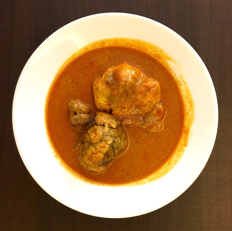 129 Cow Brain Stock Photos Free & RoyaltyFree Stock Photos from