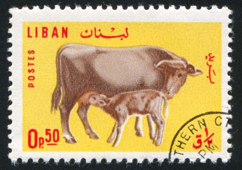 LEBANON CIRCA 1965: stamp printed by Lebanon, shows Cow and Calf, circa 1965. Kid calf stock images, royalty-free photos and pictures
