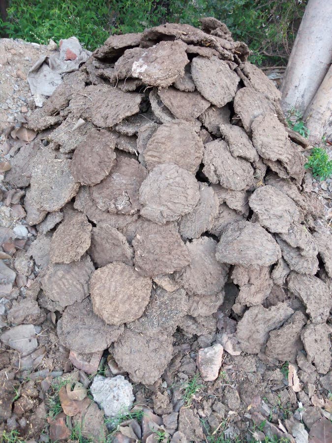 This is cow dung ponda and it comes to work burning fire and cooking royalty free stock image This is cow dung ponda and it comes to work burning fire and cooking royalty free stock image