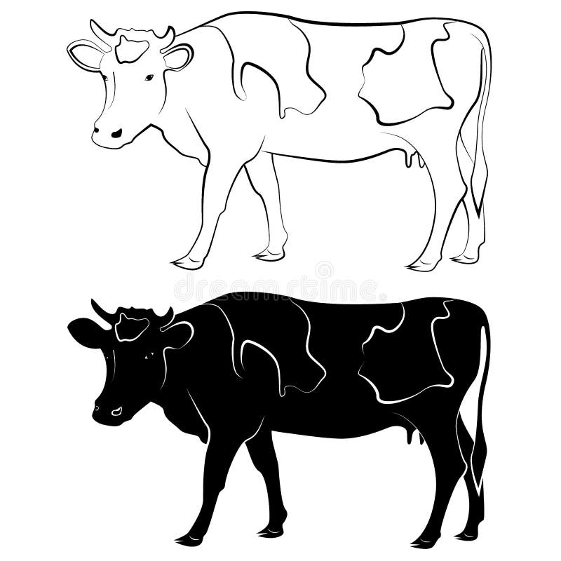 Cow silhouette and outline stock vector. Illustration of line - 134522798