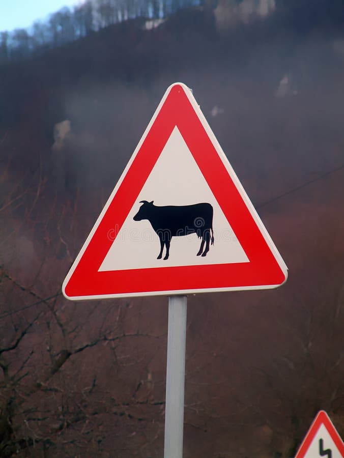 Cow traffic sign