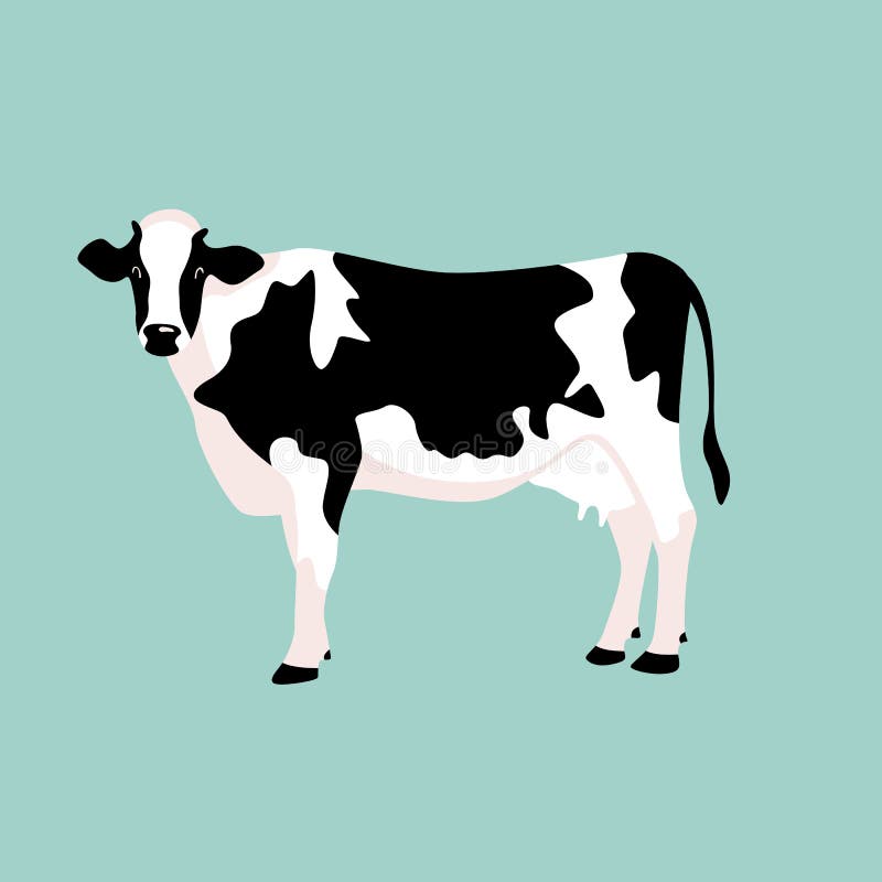 Cow Side View, Vector Illustration, Flat Stock Vector - Illustration of