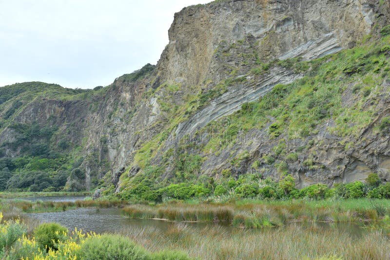 Cowan Bay Cliffs at Whatipu Scenic Reserve Stock Photo Image of lake