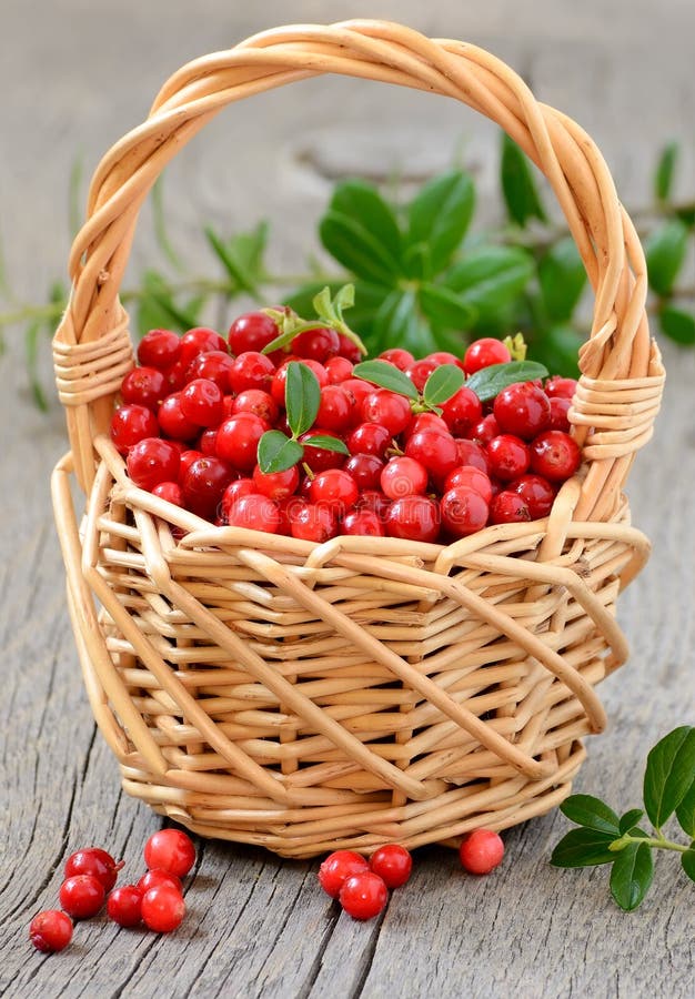 Корзиночка с брусникой