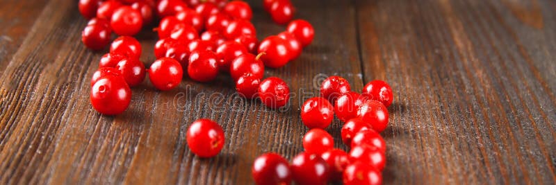 Cowberry, foxberry, το βακκίνιο, lingonberry γουλιές από το καλάθι σε έναν καφετή ξύλινο πίνακα απαγορευμένα στοκ εικόνες Cowberry, foxberry, το βακκίνιο, lingonberry γουλιές από το καλάθι σε έναν καφετή ξύλινο πίνακα απαγορευμένα στοκ εικόνες