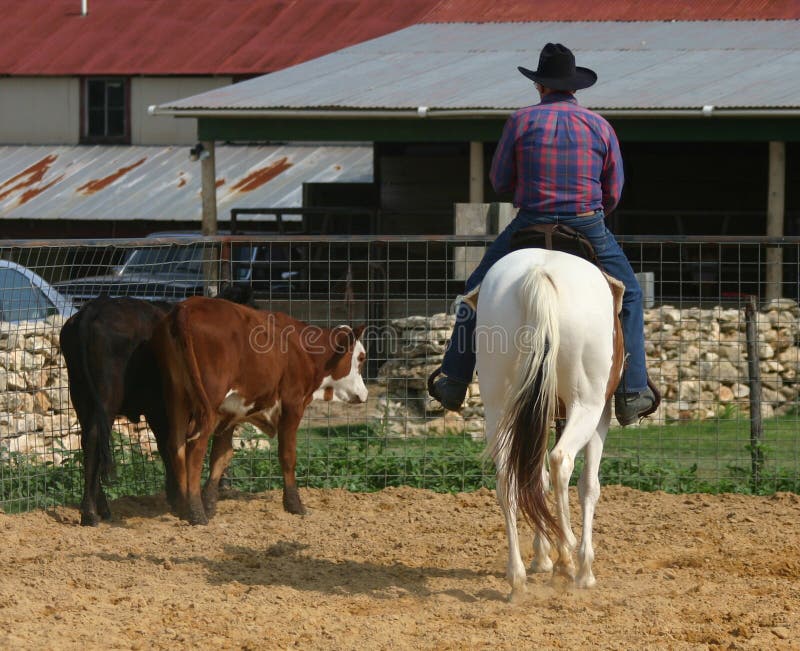 Cowboy