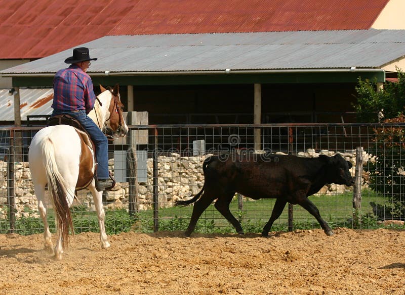 Cowboy