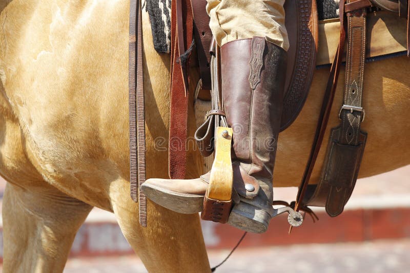 Cowboy royalty free stock images