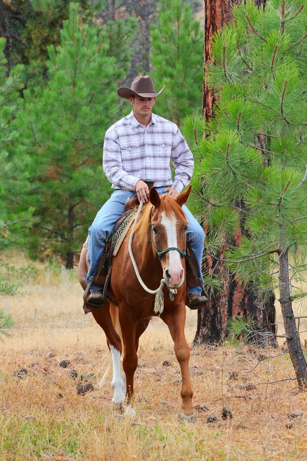 Cowboy stock image. Image of ride, beautiful, boots, male - 21577453