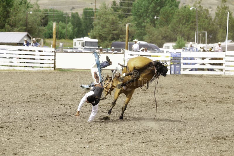 Cowboy bucked off his horse. Bronc rider is going to have a hard landing after his bronc beat him in the rodeo stock photos Cowboy bucked off his horse. Bronc rider is going to have a hard landing after his bronc beat him in the rodeo stock photos