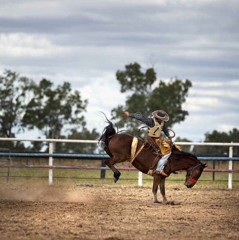 Cowboy on a bucking horse at a rodeo. The horse`s rear legs are off the ground, kicking up dust. Rodeo in outback Australia.