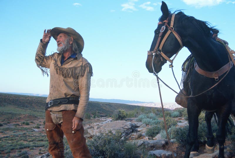 Cowboy et cheval restant dans le désert image libre de droits Cowboy et cheval restant dans le désert image libre de droits