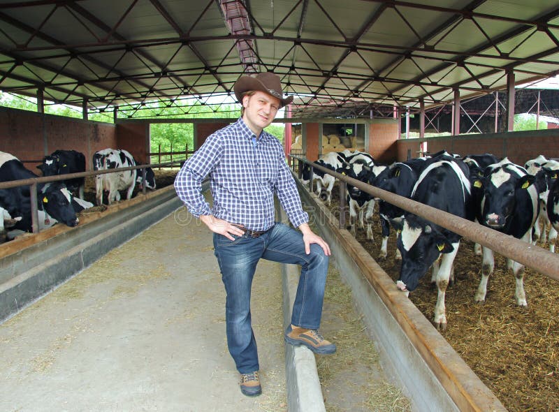 Cowboy on Farm stock photo. Image of cowshed, beef, cowherd 25149324