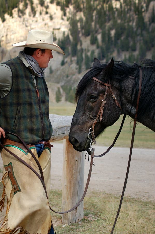 Cowboy And His Horse Stock Photos - Image: 591753