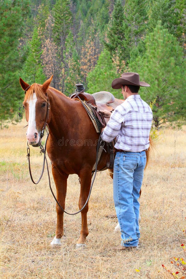 Old Timer Western Cowboy Roper Stock Image - Image of cowboys ...