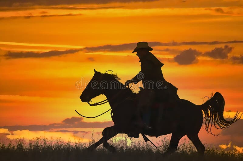 Cowboy on horseback silhouette