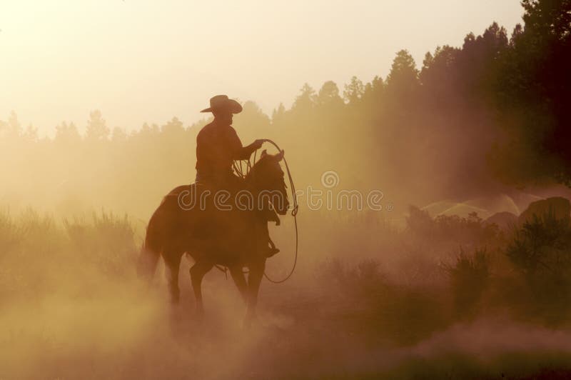 Cowboy na poeira