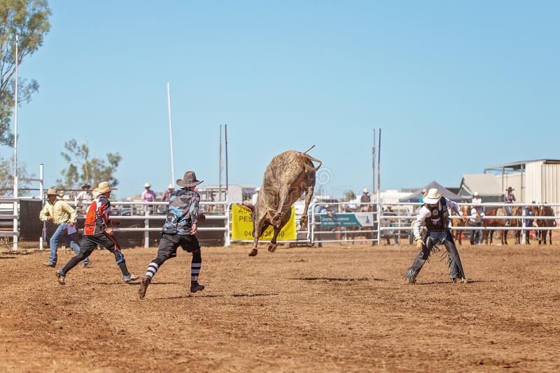 A cowboy riding a bucking bull