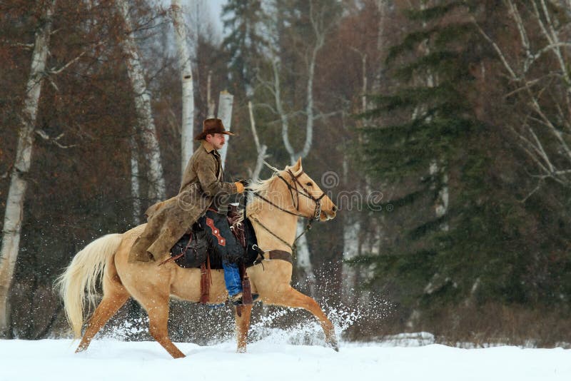 Cowboy riding and kicking up snow