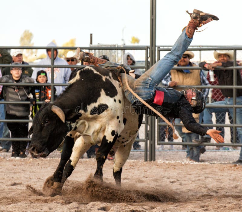 Indian cowboy rodeo bull riding in Arizona.