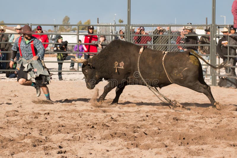 Indian cowboy rodeo bull riding in Arizona.