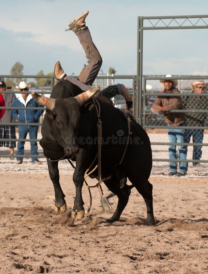 Cowboy Rodeo Bull Riding