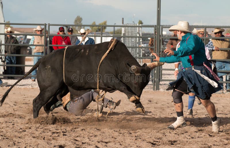 Indian cowboy rodeo bull riding in Arizona.