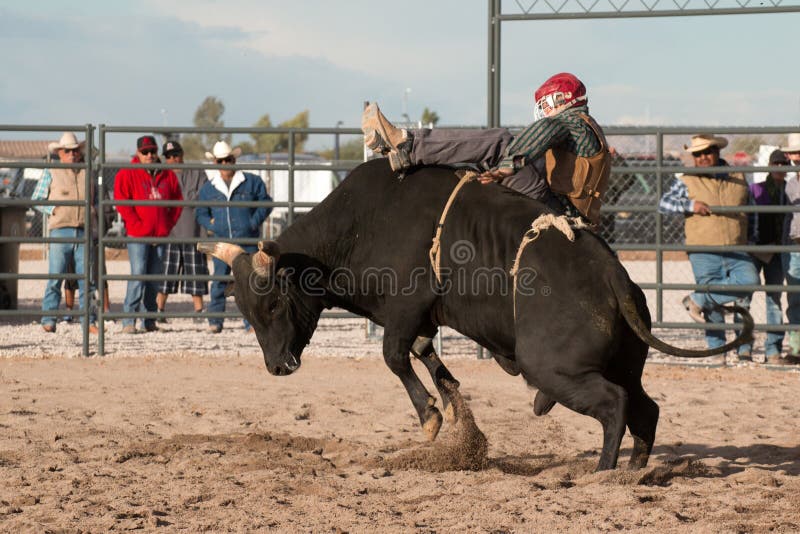 Indian cowboy rodeo bull riding in Arizona.